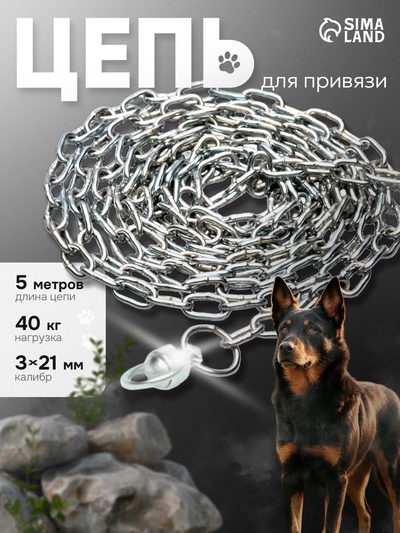 Цепь для привязи собак, 5 м, калибр 3×21 мм, белая