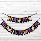 Гирлянда на ленте "Happy Halloween", привидения, 250 см - фото 110094016
