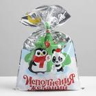 Пакет подарочный пластиковый «Желание», 20?30 см (комплект 20 шт) - фото 46787157