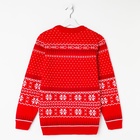 Свитер вязаный новогодний KAFTAN Santa, размер 46 - Фото 16