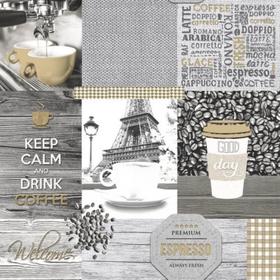 

Обои виниловые на бумажной основе моющиеся Саратовские обои В036-06 Премиум-Д, 0.53*10м