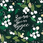 Бумага упаковочная глянцевая «Время чудес», 70 х 100 см, Новый год (комплект 10 шт) - фото 25396590