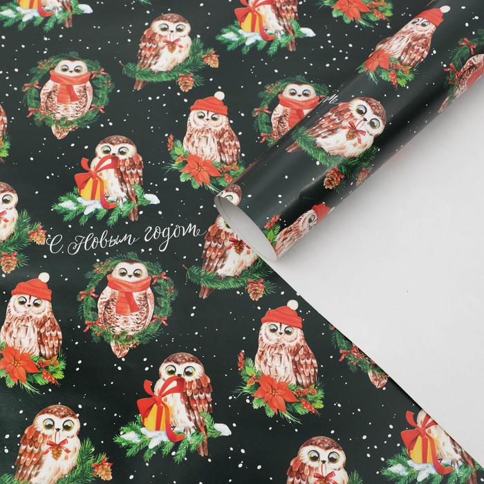 Бумага упаковочная глянцевая «Совушки», 70 х 100 см - Фото 1