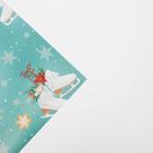 Упаковочная бумага на новый год «Коньки», 70 х 100 см, глянцевая (комплект 10 шт) - фото 25476343
