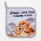 Набор кухонный «Львы» варежка-прихватка 20х28см, прихватка 17х17см 6959810