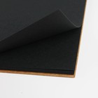 Скетчбук с черными листами А5, 20 листов, 160 г/м2 MALEVICH - Фото 4