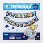 Гирлянда на люверсах «С днем рождения!», длина 226 см, Me to You - фото 42242164