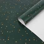 Бумага упаковочная глянцевая «Золотые звёздочки», 70 х 100 см - фото 320410021