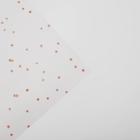 Бумага упаковочная глянцевая «Звёзды», 70 х 100 см (комплект 10 шт) - фото 24313525