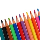 Карандаши 12 цветов, ErichKrause, пластик, шестигранные, 2.6 мм грифель, картонная упаковка, европодвес - Фото 7