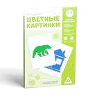 Цветные картинки для новорожденных, 20 карт, 0+ - Фото 4