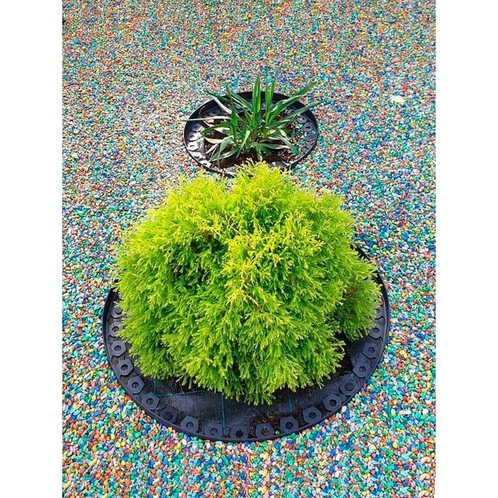 Садовый пластиковый бордюр, 38 мм, чёрный, 10 м + 30 кольев, «Манго» - фото 1889651790