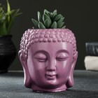 Кашпо - органайзер "Будда" пурпурное, 0,2л / 11х11х11см - Фото 2