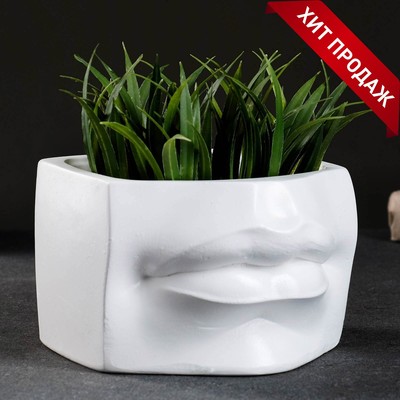 Фигурное кашпо для цветов «Губы Давида», 900 мл, 16×11.5×16 см, гипс, белое