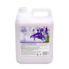 Бальзам-кондиционер для белья Crystal Rinser, с ароматом Королевского Ириса, 5 л - Фото 1