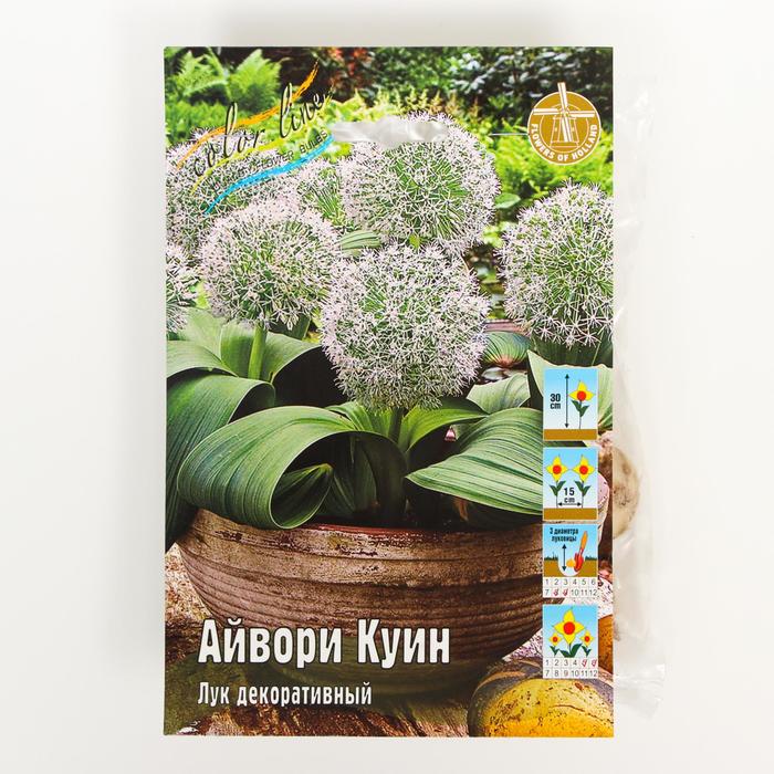 Лук декоративный каратавский: Фотообзор Эко-фокус Фотогалерея природы на dia-log