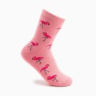 Носки женские махровые «Фламинго», цвет розовый, размер 23-25 - фото 319990395