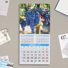 Календарь, перекидной, скрепка "Дары природы" 2022 год, 22,5х22,5 см - Фото 3