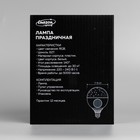 Световой прибор «Праздничная лампа» 11 см, Е27, динамик, пульт ДУ, свечение RGB - Фото 14