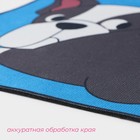 Коврик влаговпитывающий придверный Доляна «Бульдог», без окантовки, 39×59 см, цвет синий - Фото 5