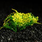 Растение искусственное аквариумное, 5 см, зелёное 6886518