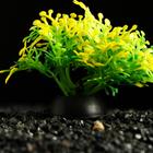 Растение искусственное аквариумное, 5 см, зелёное 6886518