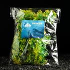 Растение искусственное аквариумное, 5 см, зелёное 6886518