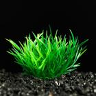 Растение искусственное аквариумное, 5 см, зелёное - фото 318659331
