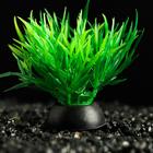 Растение искусственное аквариумное, 5 см, зелёное - Фото 3