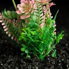 Растение искусственное аквариумное, 3 х 9 см, розово-зелёное (комплект 5 шт) - фото 25573528