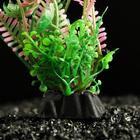 Растение искусственное аквариумное, 3 х 9 см, розово-зелёное (комплект 5 шт) - фото 25573529