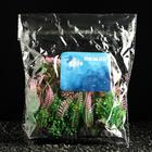 Растение искусственное аквариумное, 3 х 9 см, розово-зелёное (комплект 5 шт) - фото 25573530