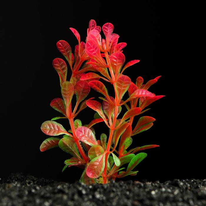 Растение искусственное аквариумное, 3 х 9 см, оранжево-зелёное - Фото 1
