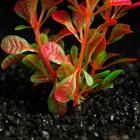 Растение искусственное аквариумное, 3 х 9 см, оранжево-зелёное - Фото 2