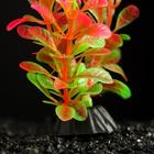 Растение искусственное аквариумное, 3 х 9 см, оранжево-зелёное - Фото 3