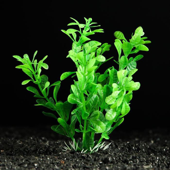 Растение искусственное аквариумное, 3 х 13 см, зелёное