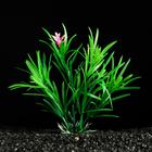 Растение искусственное аквариумное, 3 х 13 см, зелёное - фото 9397968