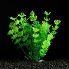 Растение искусственное аквариумное, 3 х 13 см, зелёное - фото 9397980