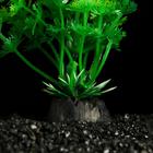 Растение искусственное аквариумное, 3 х 13 см, зелёное - Фото 3