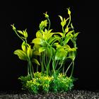Растение искусственное аквариумное, 15 см, зелёное - фото 318659435