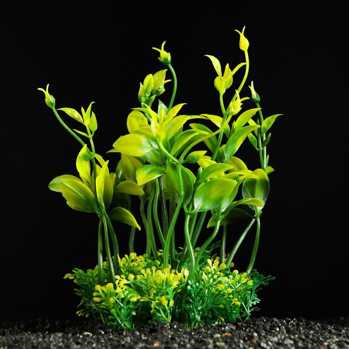 Растение искусственное аквариумное, 15 см, зелёное - Фото 1