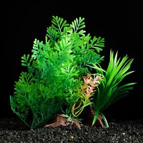 Растение искусственное аквариумное на платформе в виде коряги, 18 см, зелёное