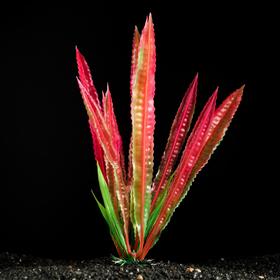 Растение искусственное аквариумное, 4 х 20 см, микс цветов