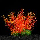 Растение искусственное аквариумное, 20 см, оранжевое - фото 9398080