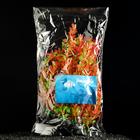 Растение искусственное аквариумное, 4 х 30 см, красно-зелёное (комплект 5 шт) - фото 40655566