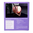 Увлажнитель-ночник Luazon HM-5, ультразвуковой "Планета", 2 Вт, 0.8 л, от USB - Фото 12