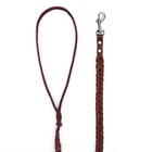 Поводок кожаный плетеный "Коса", 1.25 м х 1.1 см, коричневый - фото 10031603