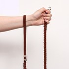 Поводок кожаный плетеный "Коса", 1.25 м х 1.1 см, коричневый - фото 10031606