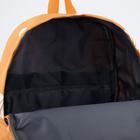 Рюкзак, отдел на молнии, наружный карман, цвет оранжевый, «Тыквы» - фото 6472769