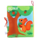 Книжка - шуршалка Крошка Я «Лесные животные», 14×16 см - Фото 9